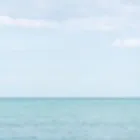 Business 1 image REAL ESCAPES Adult Services & Entertainment in Melbourne VIC