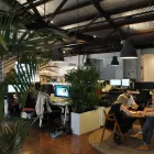 Business 2 image REBORN Web Consultant in Sydney NSW