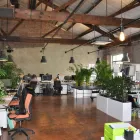 Business 3 image REBORN Web Consultant in Sydney NSW