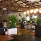 Business 7 image REBORN Web Consultant in Sydney NSW