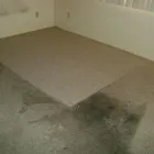 Business 1 image REJUVENATE CARPET CLEANING Carpet Tiles Manufacturers in Sydney NSW