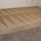 Business 3 image REJUVENATE CARPET CLEANING Carpet Tiles Manufacturers in Sydney NSW