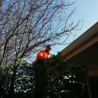 Business 2 image RELIANCE ALL TRADE Gutter Cleaning in Perth WA