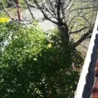Business 4 image RELIANCE ALL TRADE Gutter Cleaning in Perth WA