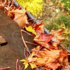 Business 3 image RELIANCE ALL TRADE Tree Surgery in Kalamunda WA