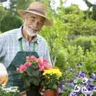 Business 7 image RESTHAVEN PARADISE & EASTERN COMMUNITY SERVICES Support for carers in Paradise SA