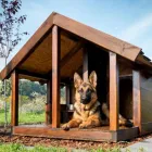 Business 1 image RILTEN KENNELS Pet Care in Melbourne VIC