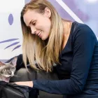 Business 1 image RINGWOOD VET HOSPITAL in Ringwood VIC