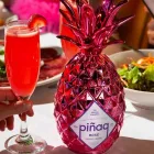 Business 4 image RIVYL Marketing Agency in North Sydney NSW