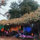 Business 2 image ROBIN HOOD HOTEL STRATHALBYN Tourist Attractions in Strathalbyn SA