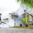 Business 1 image RODENT CONTROL - BUG FREE PEST CONTROL Pest Control in Yagoona NSW