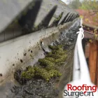Business 10 image ROOFING SURGEON Roofing / Gutter Repairs in Strathfield South NSW