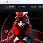 Business 2 image ROOSTER BET Casinos in Sydney NSW