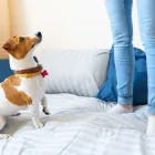 Business 5 image ROSEBUD HOMEMAKERS recliners for sale in Rosebud VIC