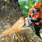 Business 4 image ROSEBUD SAW SERVICE Walker Mowers in Rosebud VIC