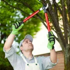 Business 3 image RV TREE CARE Tree Felling & Stump Removal in Palmerston NT