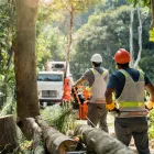 Business 5 image RV TREE CARE Tree Felling & Stump Removal in Palmerston NT