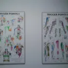 Business 3 image SA REMEDIAL THERAPY CLINIC Trigger Point Therapy in Adelaide SA