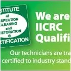 Business 3 image SAFECLEAN CARPETS & PEST CONTROL SERVICES Tile/grout Cleaning in Capalaba QLD