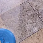 Business 4 image SAFECLEAN CARPETS & PEST CONTROL SERVICES Tile/grout Cleaning in Capalaba QLD