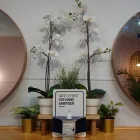 Business 4 image SALON H BY HANIFF Men's Haircuts in Melbourne VIC