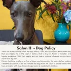 Business 9 image SALON H BY HANIFF Men's Haircuts in Melbourne VIC