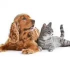 Business 8 image SALPET Pet Supplies & Pet Food in Ashwood VIC