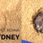 Business 2 image SAMS CLEANING SYDNEY - CARPET REPAIR SYDNEY Carpet Repair in Sydney NSW