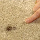 Business 4 image SAMS CLEANING SYDNEY - CARPET REPAIR SYDNEY Carpet Repair in Sydney NSW