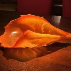 Business 3 image SAPPHIRE WOOD FURNITURE Verandah Furniture in Surry Hills NSW