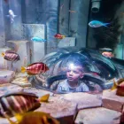 Business 2 image SEA LIFE MELBOURNE AQUARIUM what's on Melbourne in Melbourne VIC