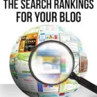 Business 2 image SEARCHICAL SEO SYDNEY Sydney SEO Services in Sydney NSW