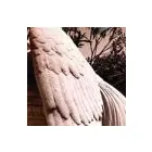 Business 5 image SEASONS FUNERALS Funerals in Belmont WA