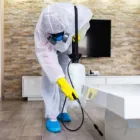 Business 1 image SES PEST CONTROL SYDNEY Pest Control in Sydney NSW