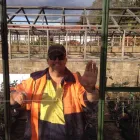 Business 2 image SHANES GLASS Window Repairs in Queanbeyan NSW