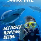 Business 2 image SHARK DIVE XTREME Tourist Attractions in Sydney NSW