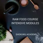 Business 3 image SHOKUIKU ACADEMY Raw Food Courses Online in Northcote VIC