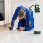 Business 1 image SILVERFISH CONTROL CANBERRA Pest Control in Monash ACT