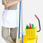 Business 1 image SINGHZ END OF LEASE CLEANING Window Cleaning in Ashwood VIC