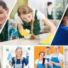 Business 11 image SINGHZ END OF LEASE CLEANING Window Cleaning in Ashwood VIC