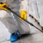 Business 1 image SINGHZPESTCONTROLBRISBANE Commercial & Industrial Cleaning Services in Brisbane City QLD