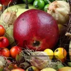 Business 2 image SIVANNA HEALTH Wellbeing Services in Castle Hill NSW