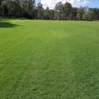 Business 3 image SLS TURF PTY LTD Wintergreen Couch turf in Greenbank QLD