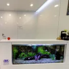 Business 5 image SMILES NAMBOUR Teeth Whitening Nambour in Nambour QLD