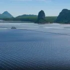 Business 1 image SOLAR4LIFE|YOUR TRUSTED SOLAR ENERGY PARTNER Solar Energy Equipment Supplier in Mitchell ACT