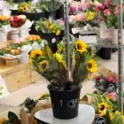 Business 1 image SOUTHSIDE FLOWER MARKET Flowers in Slacks Creek QLD