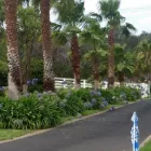 Business 3 image SPARTAN TREE SERVICES Tree Removal Service in Safety Beach VIC