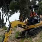 Business 4 image SPARTAN TREE SERVICES Tree Removal Service in Safety Beach VIC