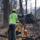 Business 5 image SPARTAN TREE SERVICES Tree Removal Service in Safety Beach VIC