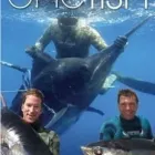 Business 2 image SPEAR WEST Spearfishing Shop Australia in Osborne Park WA